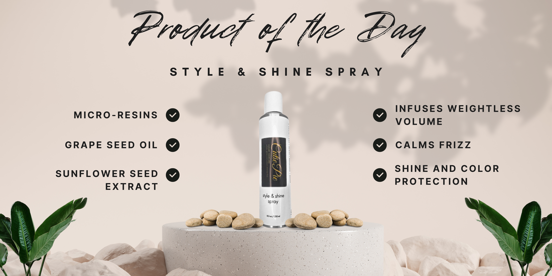 Product of The Day: Style & Shine Spray